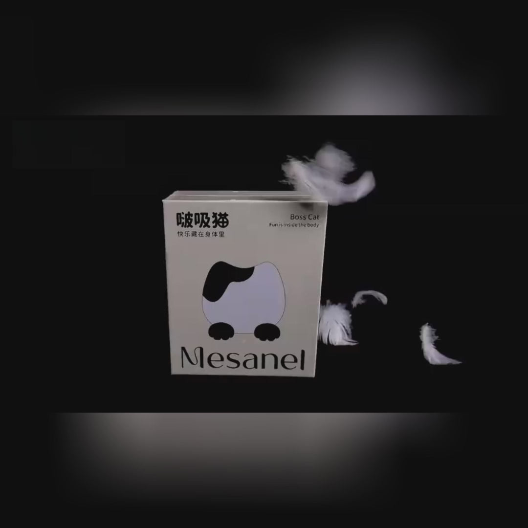 Load video: 